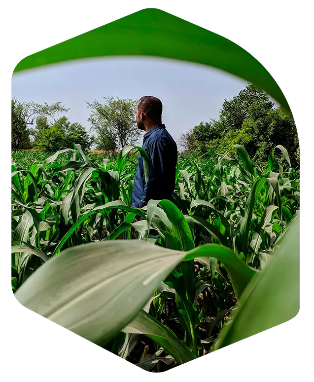 gestão documental agronegócio